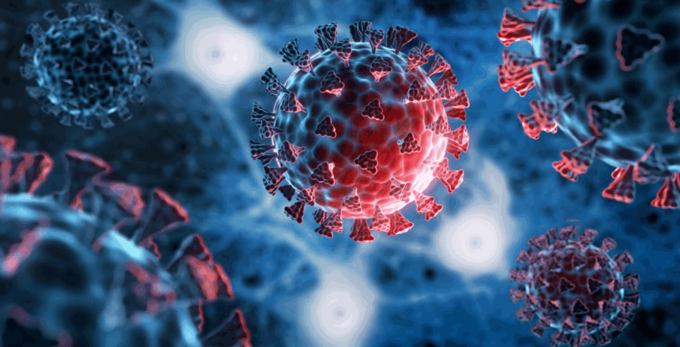 COVID-19 antigen test